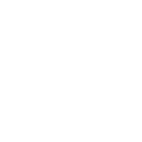 Đội dự án